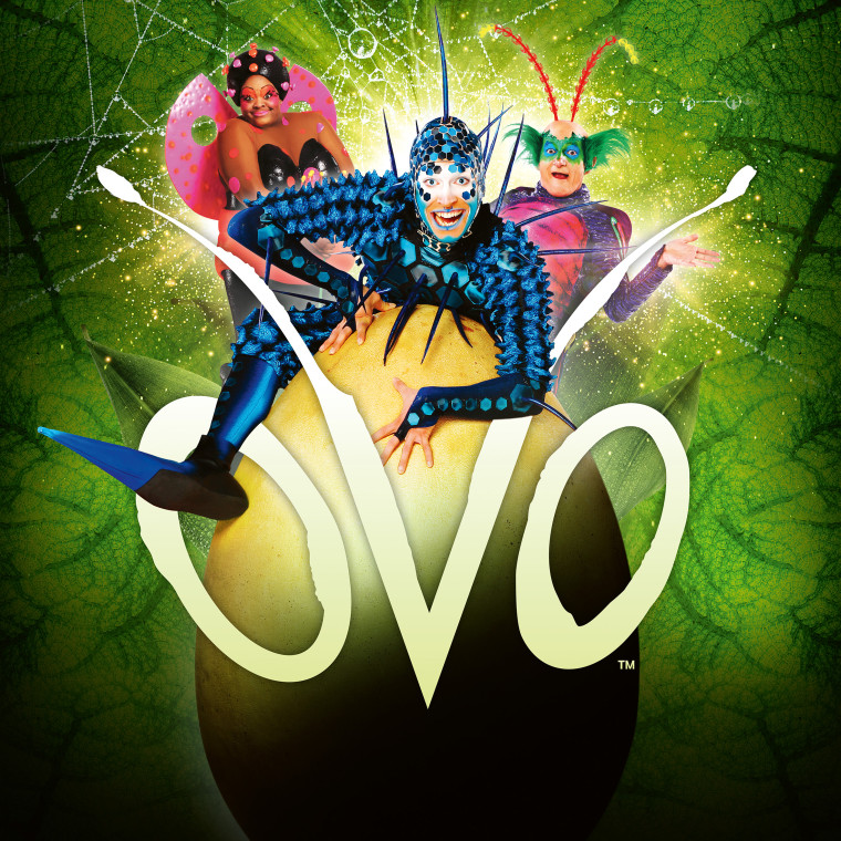 CIRQUE DU SOLEIL - OVO