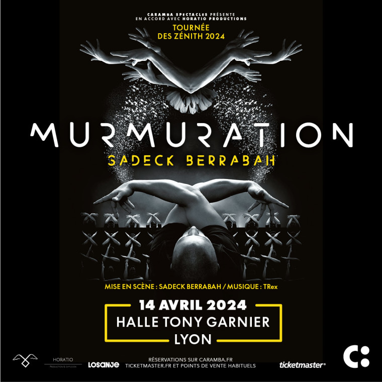 MURMURATION
