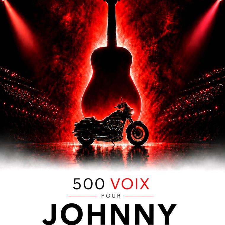 500 VOIX POUR JOHNNY